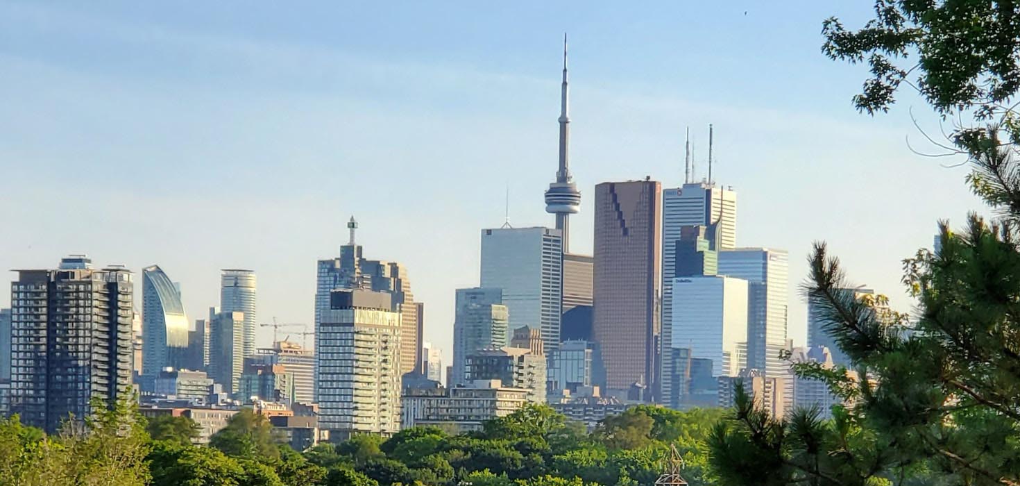 city of toronto skyline with greenery in the foreground