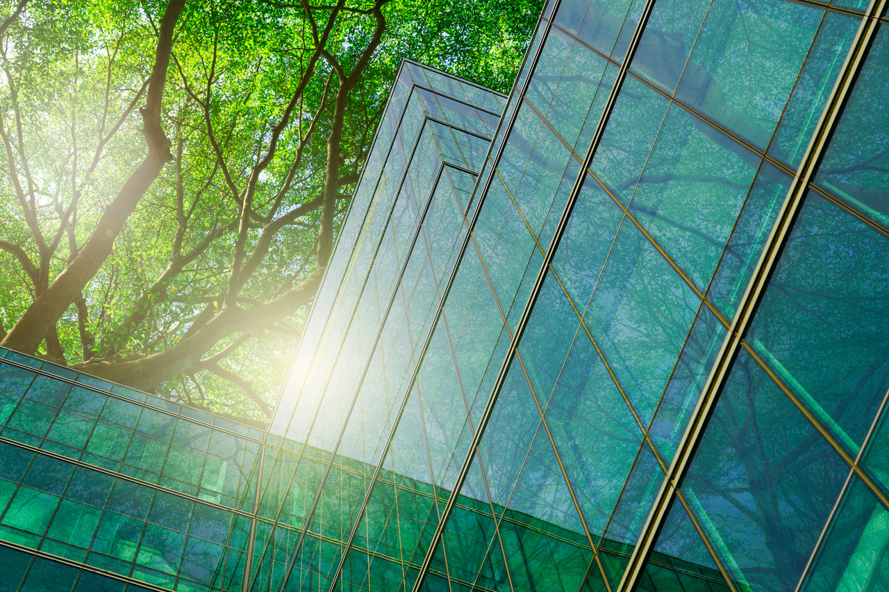 The cover of our "Banking on Green" report, which features a tall, green tree growing alongside a glass building.