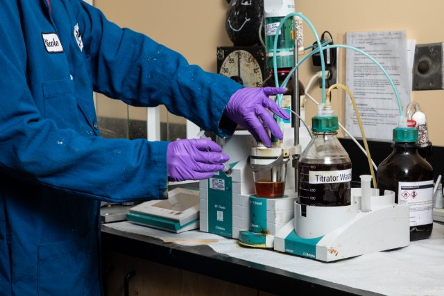 lab